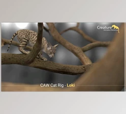 Gumroad - Download Loki Cat Rig