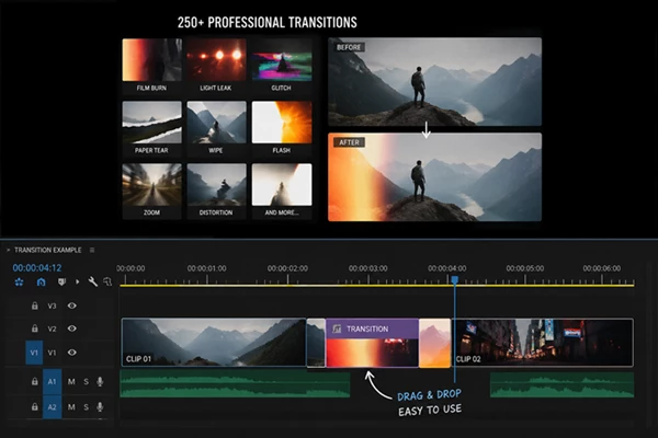 Transitions Bundle