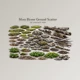 Moss Biome Ground Scatter: 3d Assetkit Pbr for Blender by Superhivemarket