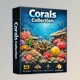 Corals Collection - Varying Types of Corals for Blender by Superhivemarket (Vfx Grace)