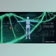 Download HUD Medical Pack (Videohive 25228275) - AE Project
