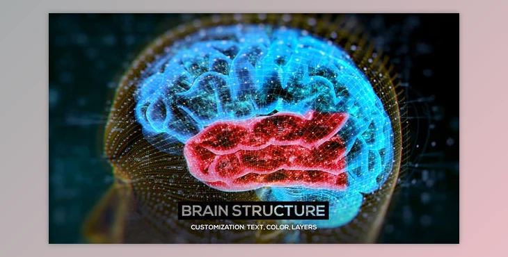 Download Brain Structure (4-pack) (Videohive 24089741) - AE Project