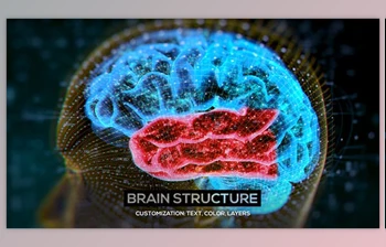 Download Brain Structure (<span class='badge badge-warning'>4-pack</span>) (Videohive 24089741) - AE Project