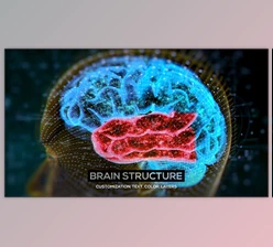 Download Brain Structure (4-pack) (Videohive 24089741) - AE Project