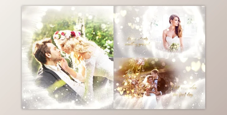 Download Wedding Slideshow (Videohive 31860141) - AE Project