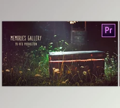 Download Memories (Videohive 33043466) - PR Project