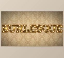 Download Burlesque Light Bulb Text Letters (Videohive 19468356) - AE Project